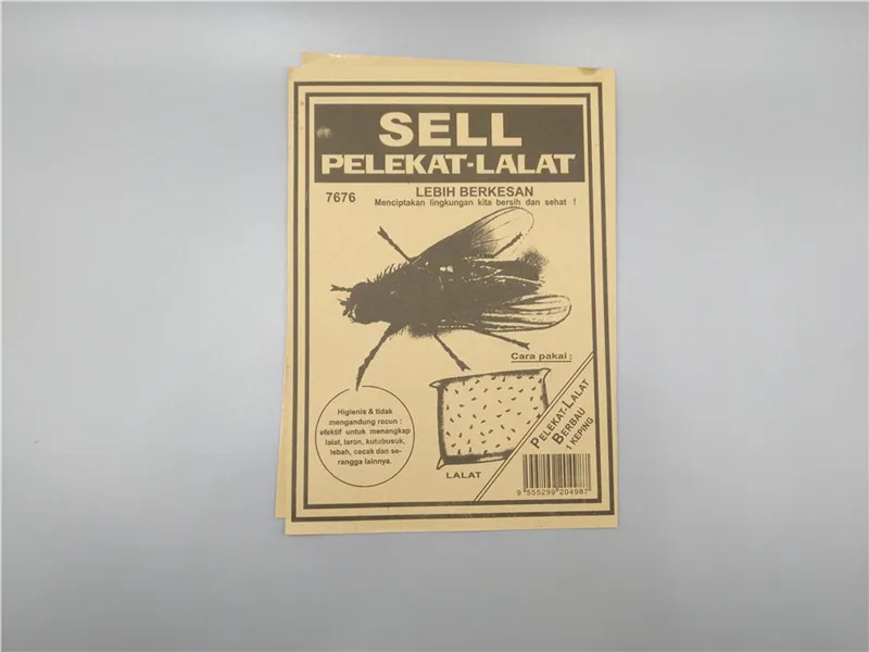 Fly lifespan picture