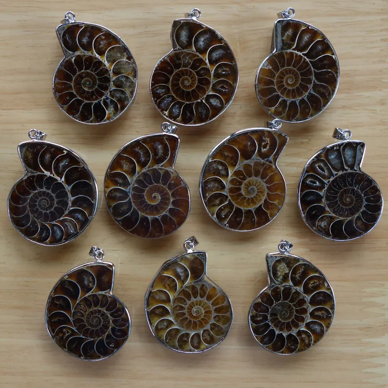 

Natural color pendant slice spiral chrysanthemum fossil snail fossils pendant lucky. Energy crystals Charm pendant