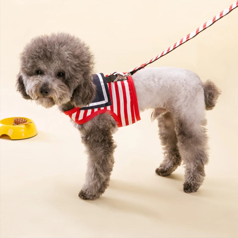 Blue Stripe Dog Leash Lead Set Perro Honden Pet Shop Pet Harness Dog