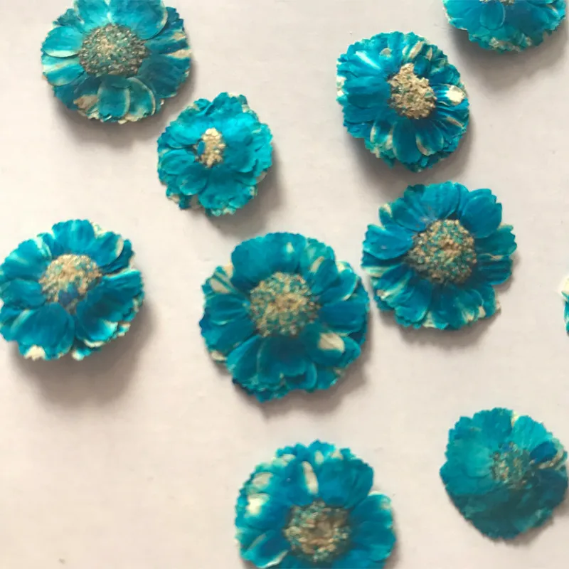 Blue-2