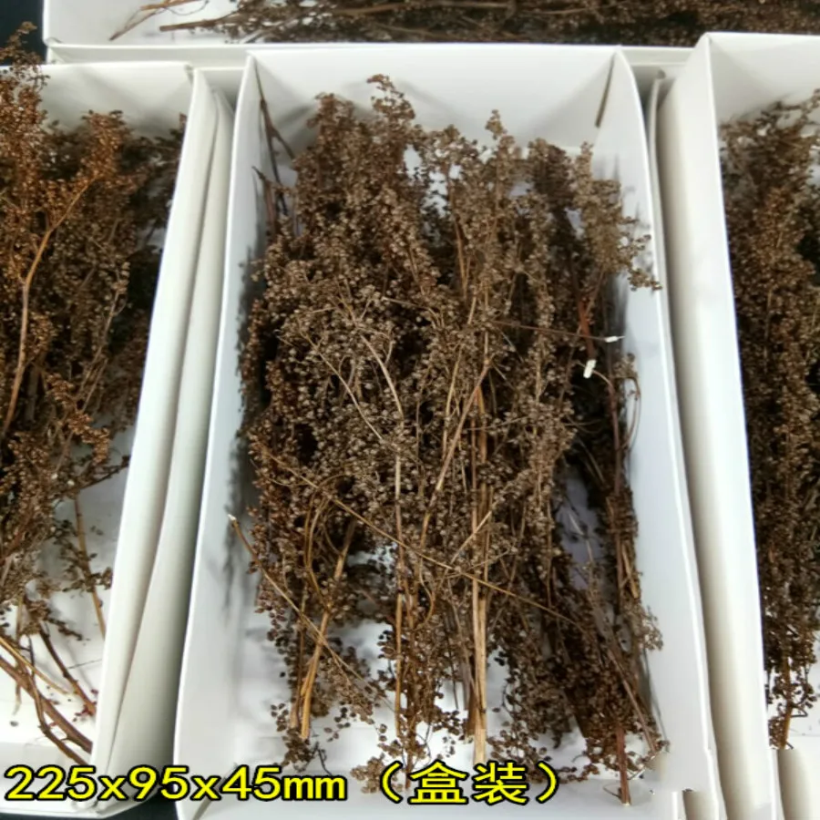 new bush grass tree in ho train layout (4)