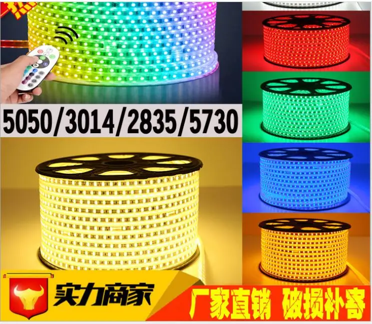 Высококачественный Светодиодные ленты 10 м рулон 220V16 цвет RGB потребление Высокая яркость 60 светодиодный/m IP65 доказательство воды 5050 Светодиодные ленты прямо с фабрики