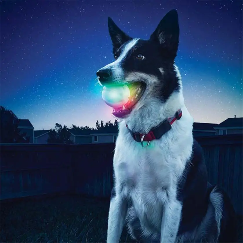 

LED Glowing Streak Dog Ball Blinking Pet Toys Lights Up Supplies For Night Play toys for dogs honden speelgoed jouet chien