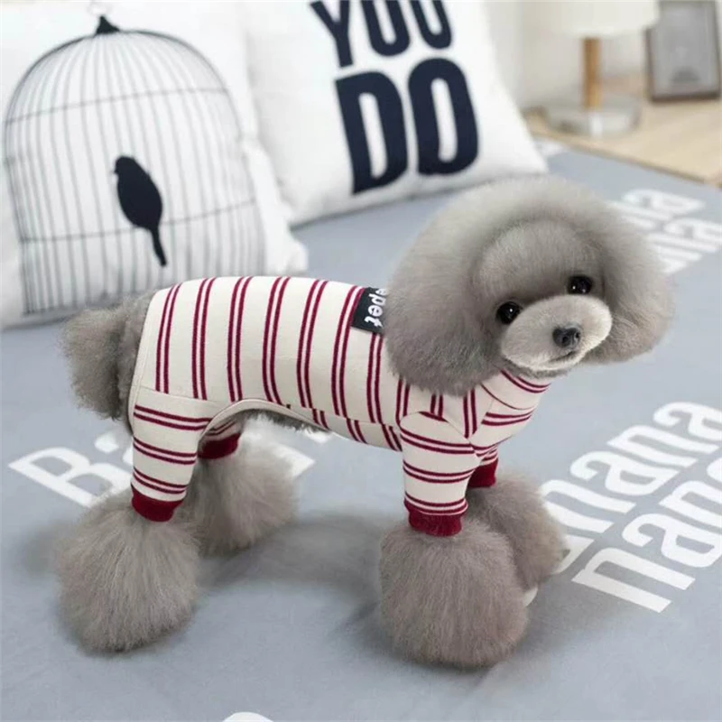 dog clothes winter (7)
