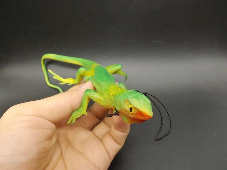 J171-Lizard (3)