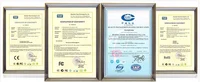 Optoelectronic Displays