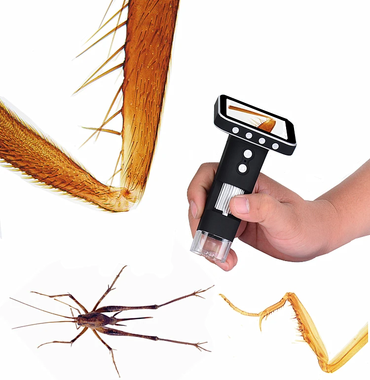 Hand held 600 X USB High Definition Digital Electron Microscope