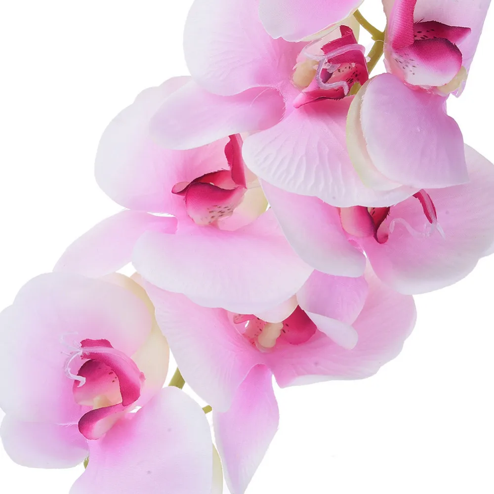 ZS313Pink (3)