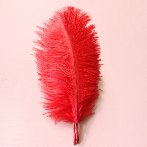 Натуральное страусиное перо 15 20 см/6 8 дюймов 10 шт.|ostrich feather|natural ostrich feathersfeather |