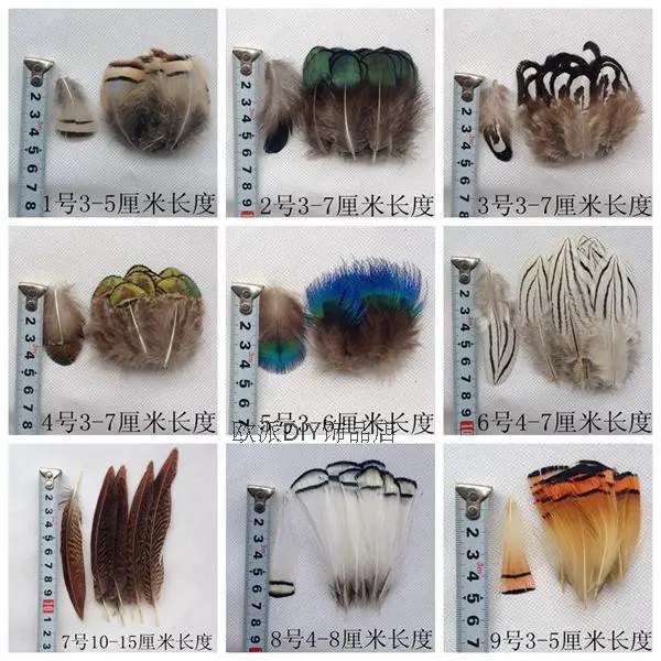 50pcs a pack Beautiful Pheasant Feather costumes dance party wedding