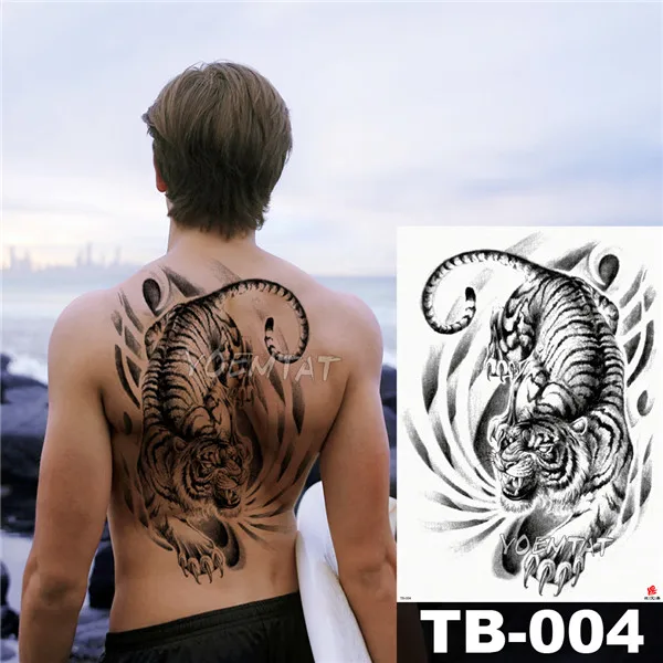 TB004