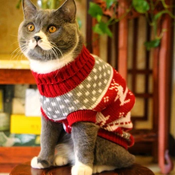 Warm cat sweaters