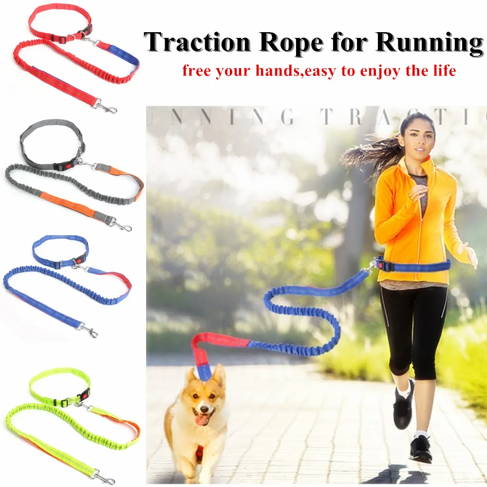 

Night Reflective Running Elasticity Leashes Hand Freely Harness Collar Jogging Lead Waist Rope Dogs Leash for Lovely Pet Dog