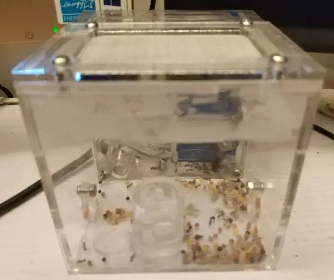 Муравейник Q2 Q3 прозрачный Ant мастерская для детей ученый Abservation DIY Accembling игрушки насекомых Ant Корпус случае Diy игрушка