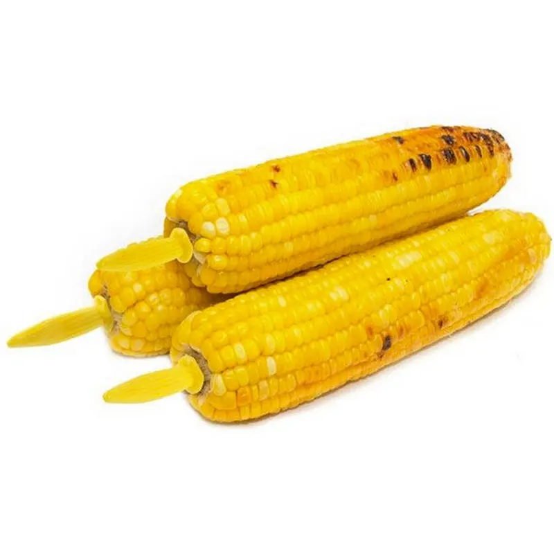 10 шт. держатели для кукурузы из нержавеющей стали для барбекю вилка кукуруза на Cob шампуры подсладочный держатель
