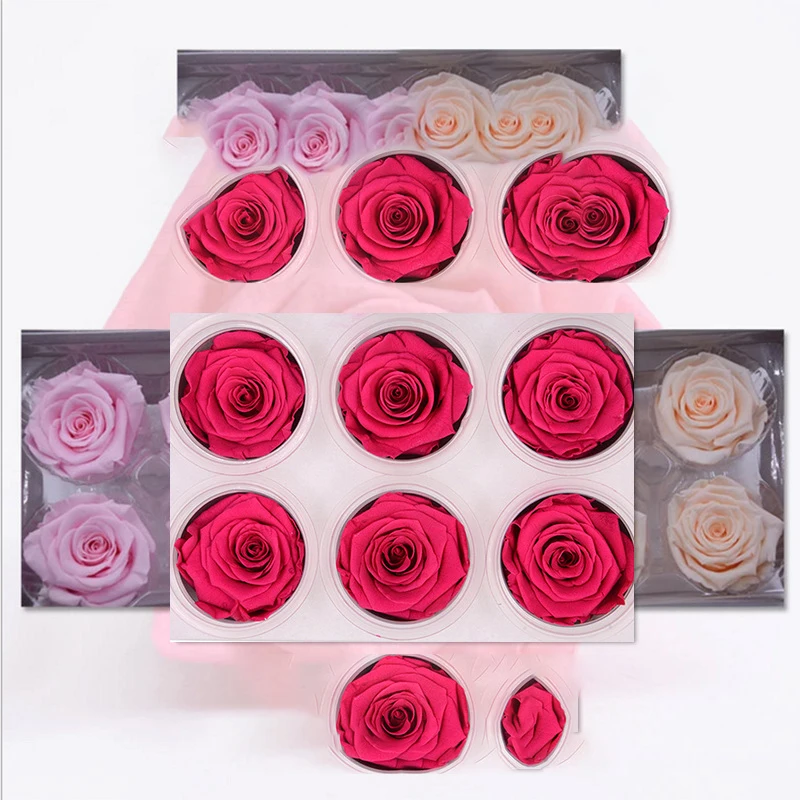 

5-6CM Grade A Eternal Roses Heads,Real Natural Fresh Preserved Rose,Beauty And The Beast Forever Rose,Immortal Flower Material