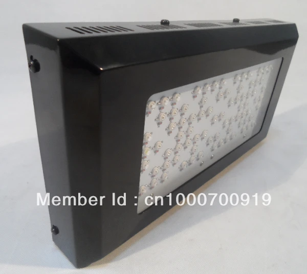 2013 Лучший sekker черная звезда Led grow light 240 Вт(80*3 Вт), высокое качество с 3 лет гарантии, дропшиппинг