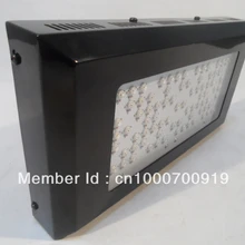 2013 Лучший sekker черная звезда Led grow light 240 Вт(80*3 Вт), высокое качество с 3 лет гарантии, дропшиппинг
