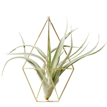 

Geometric Hanging Tillandsia Air Plants Rack Metal Geometric Iron Art Rustic Planter Rack For Flower Pot Plants Rack