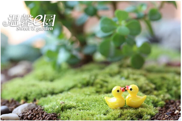 QQ20170506154327