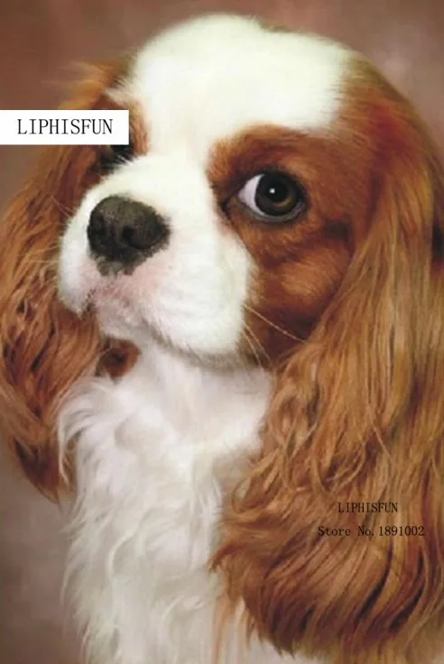 New Arrivals Diamond Full Embroidery Beads Dog Puppy Animal Diamonds Cross Stitch Painting Inlay Handwork | Дом и сад