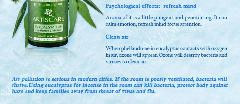 ARTISCARE чистое эфирное масло эвкалипта для освежения кожи и противовоспалительного очищающего ухода за кожей ран массажное масло 10 мл