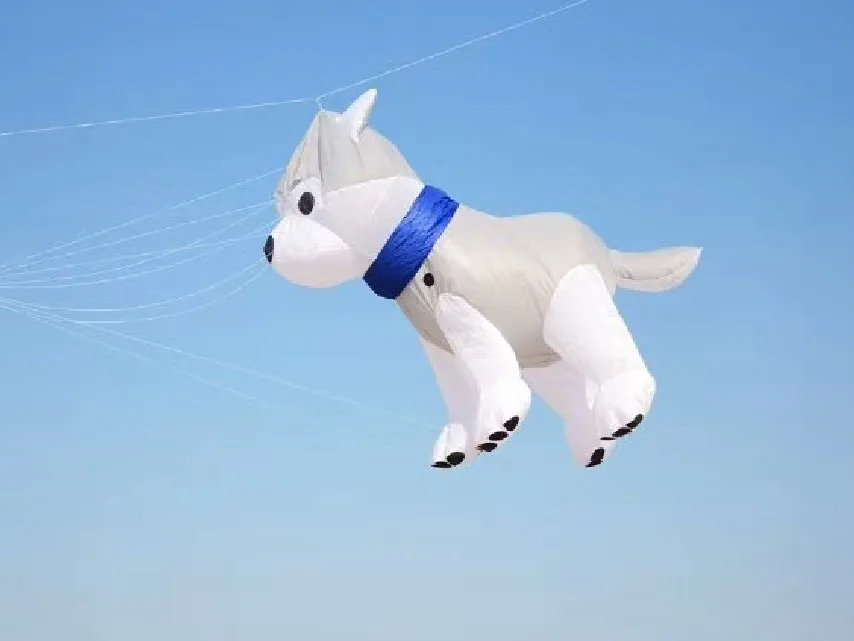 Воздушные змеи для взрослых flying shark cerf volant vlieger|Воздушные змеи| |