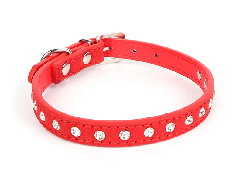 dog-collor-30285d4