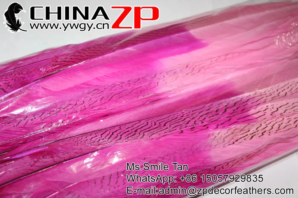 65-70cm silver pheasant feathers Ombre color Pink wholesale Carnvial showing  - (3)