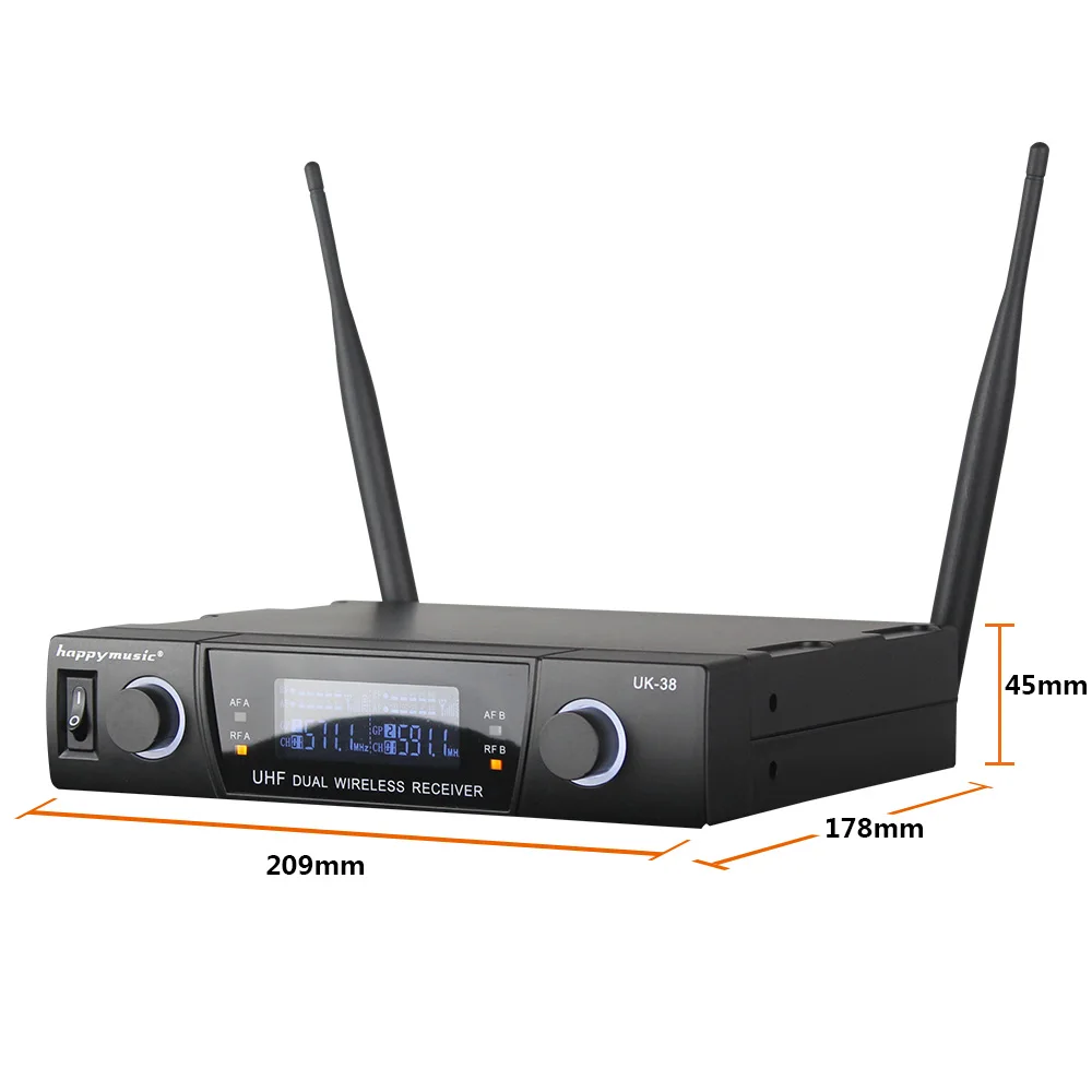 High Quality Professional Dual Wireless Microphone