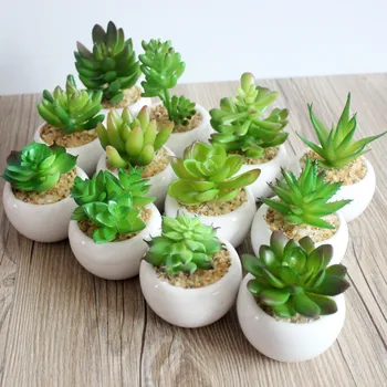 

4Set Potted Green Red Artificial Succulents Plants Desktop Bonsai Home Garden Office Bedroom Bathroom Decoration Fake Plants