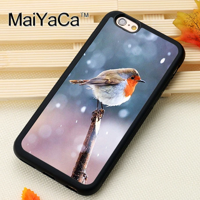 Winter Robin Samsung S10 Case