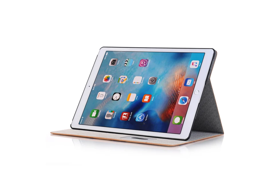 iPad Pro 12.9 case (4)