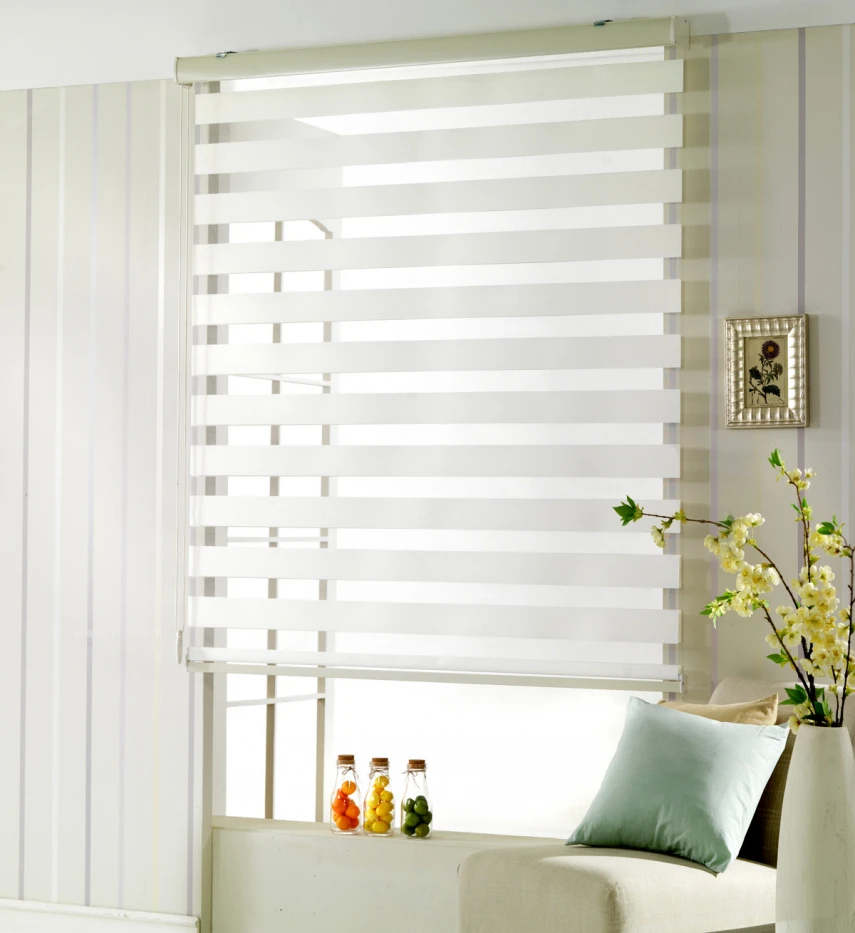 white-zebra-blind-zebra-blinds-pinterest-window-doors-and-eco-blinds-and-curtains