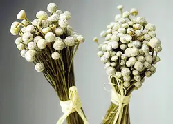 50 пучок травы грибы сушеный Вечерние Декорации для свадьбы дома Спальня Гостиная Офис DIY украшения цветы