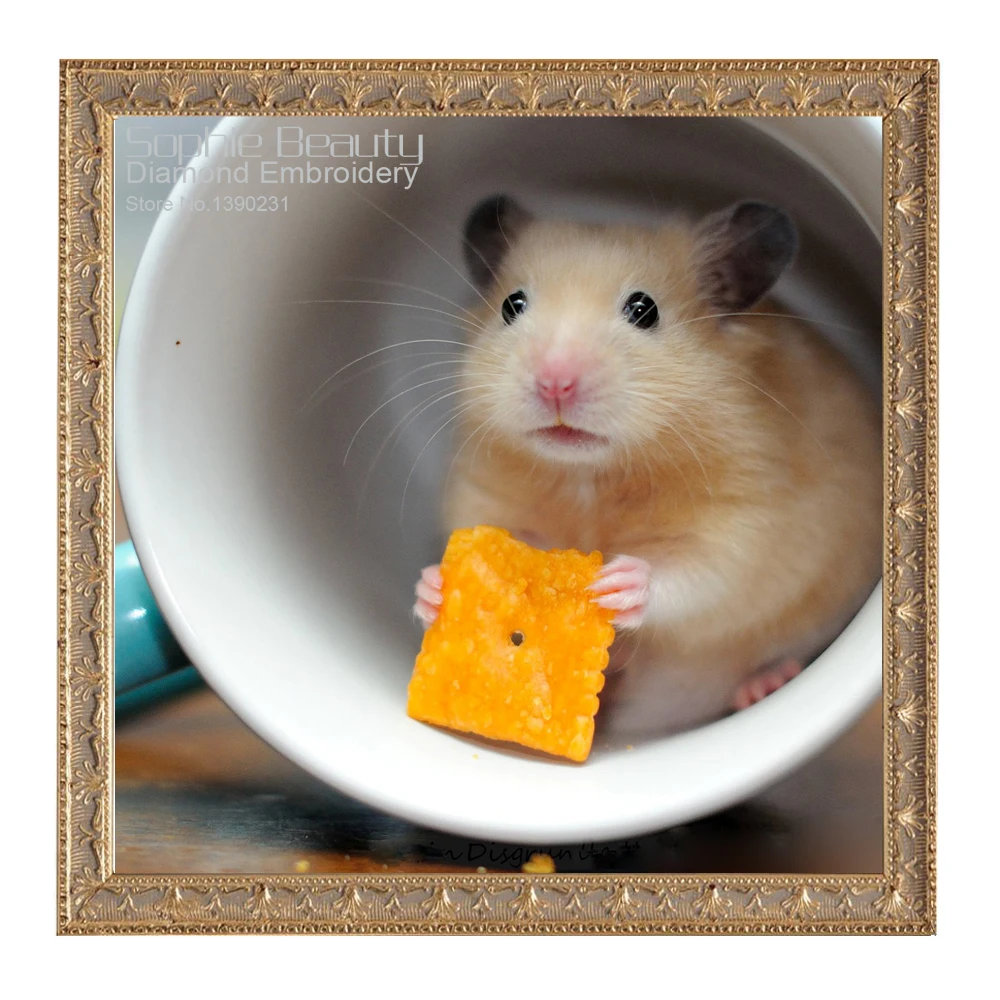 

New Animal Diamond Mosaic Painting Full Diamond Embroidery 5D Diy Diamond Painting Cross Stitch Square Diamond Set Hamster