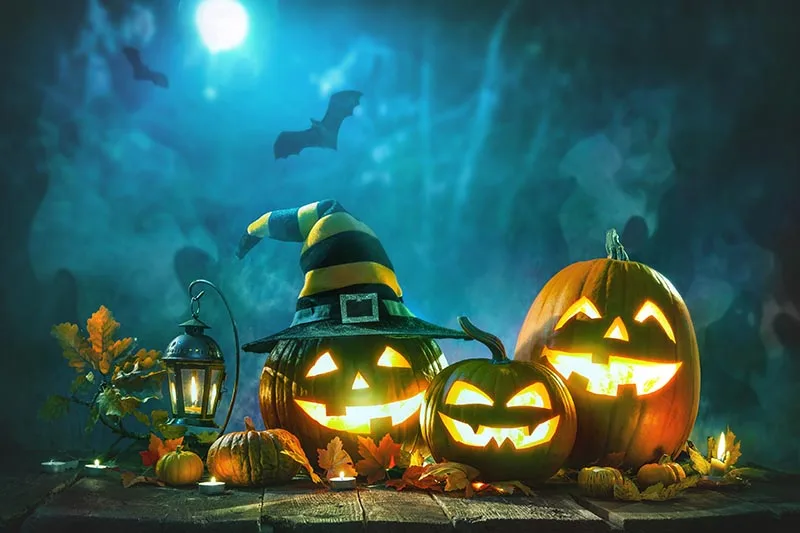 

Photography background in background mysterious foggy forest Halloween theme backdrop professional photo background studio