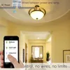 Tuya Smart Life Módulo de interruptor WiFi 15A Alexa Echo Control de voz en casa Google, luces de Control de aplicación remota, establecer temporizador para el dispositivo ► Foto 2/6