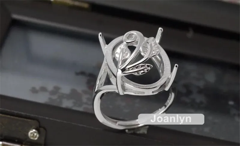 JZ010 (4)