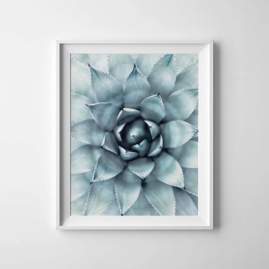 Succulent-Plants-Agave-Canvas-Painting-Poster-Wall-Art-Decor-Agave-Canvas-Print-Wall-Picture-Modern-Tropical (3)
