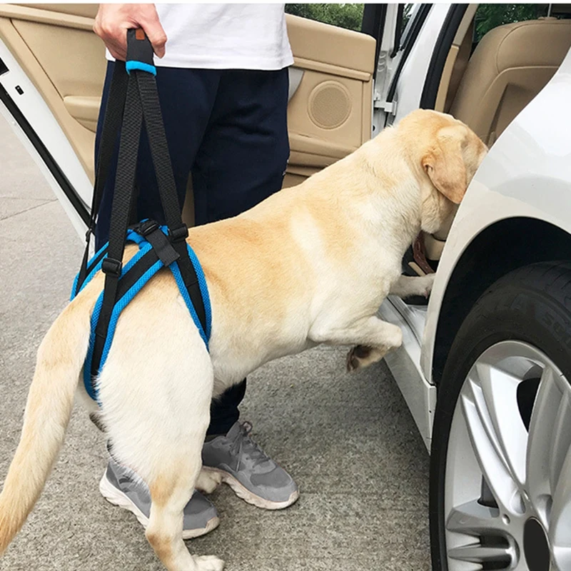 font b Pet b font Dogs Aid Assist Tool Adjustable Dog Lift Harness For Back