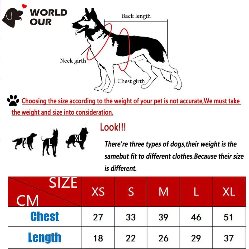 new year costume for dogs