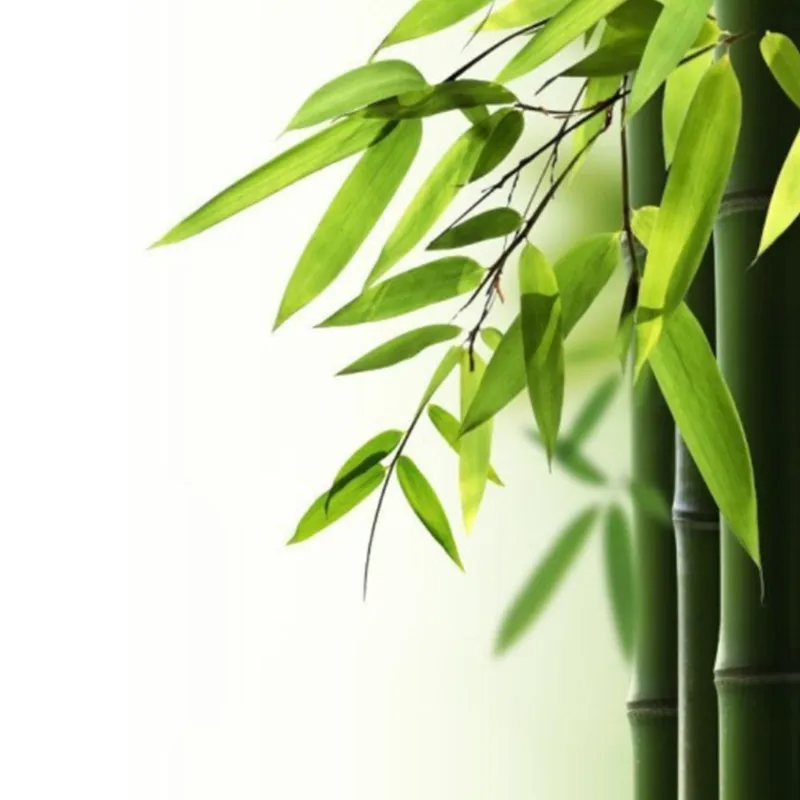 

180X180cmBamboo curtain Europe Creative fresh bamboo landscape printing waterproof polyester shower curtain mildew send hooks