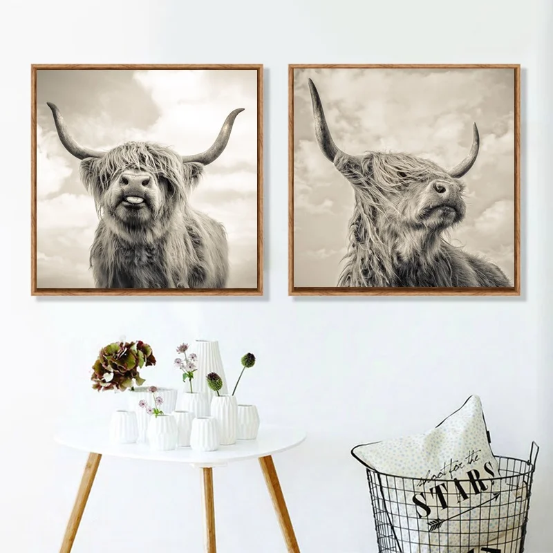 Шотландский HIGHLAND Корова Животных Художественный постер картина живопись настенные панно для гостиной