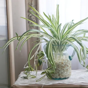 

1Pc Chlorophytum Comosum Faux Greenery Home Hotel Decor Artificial Spider Plant
