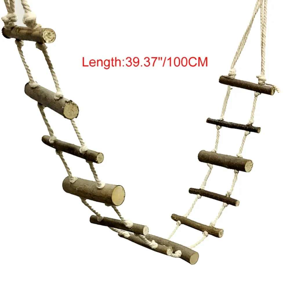 NT0609 (3)