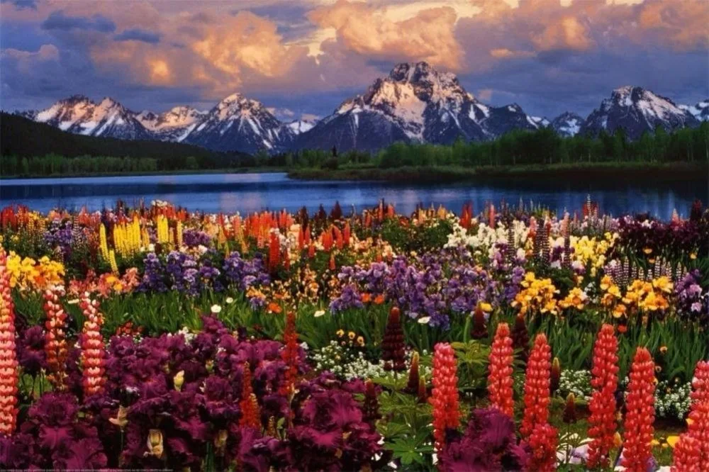 

Home Decor Grand Teton Best Seller-Silk Art Poster Wall Sticker Decoration Gift