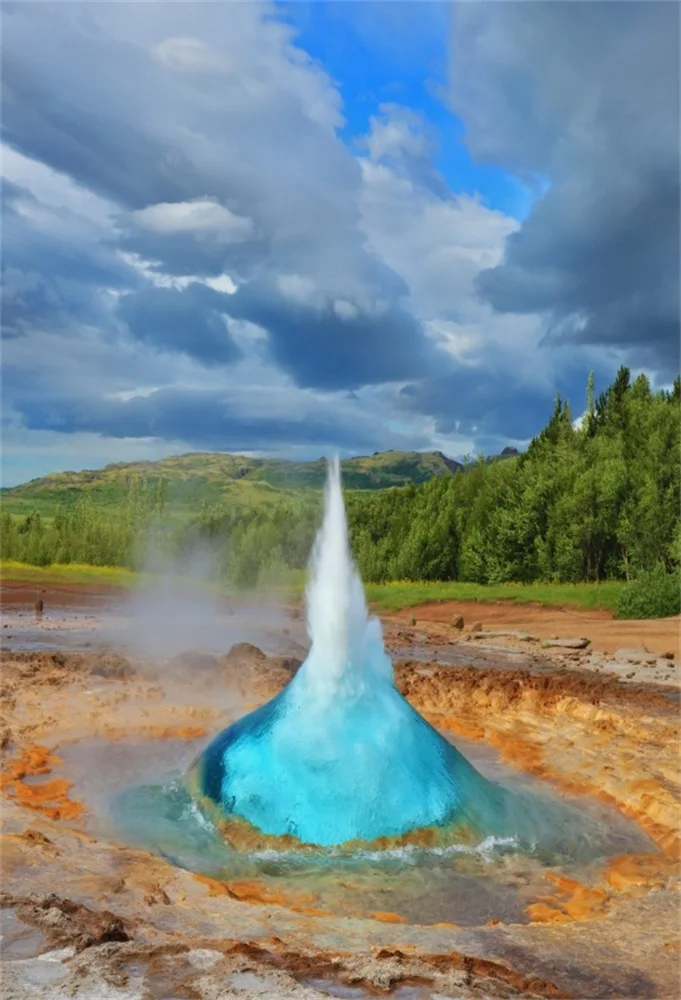 Laeacco Natural Spa Cloudy Sky Forest Photography