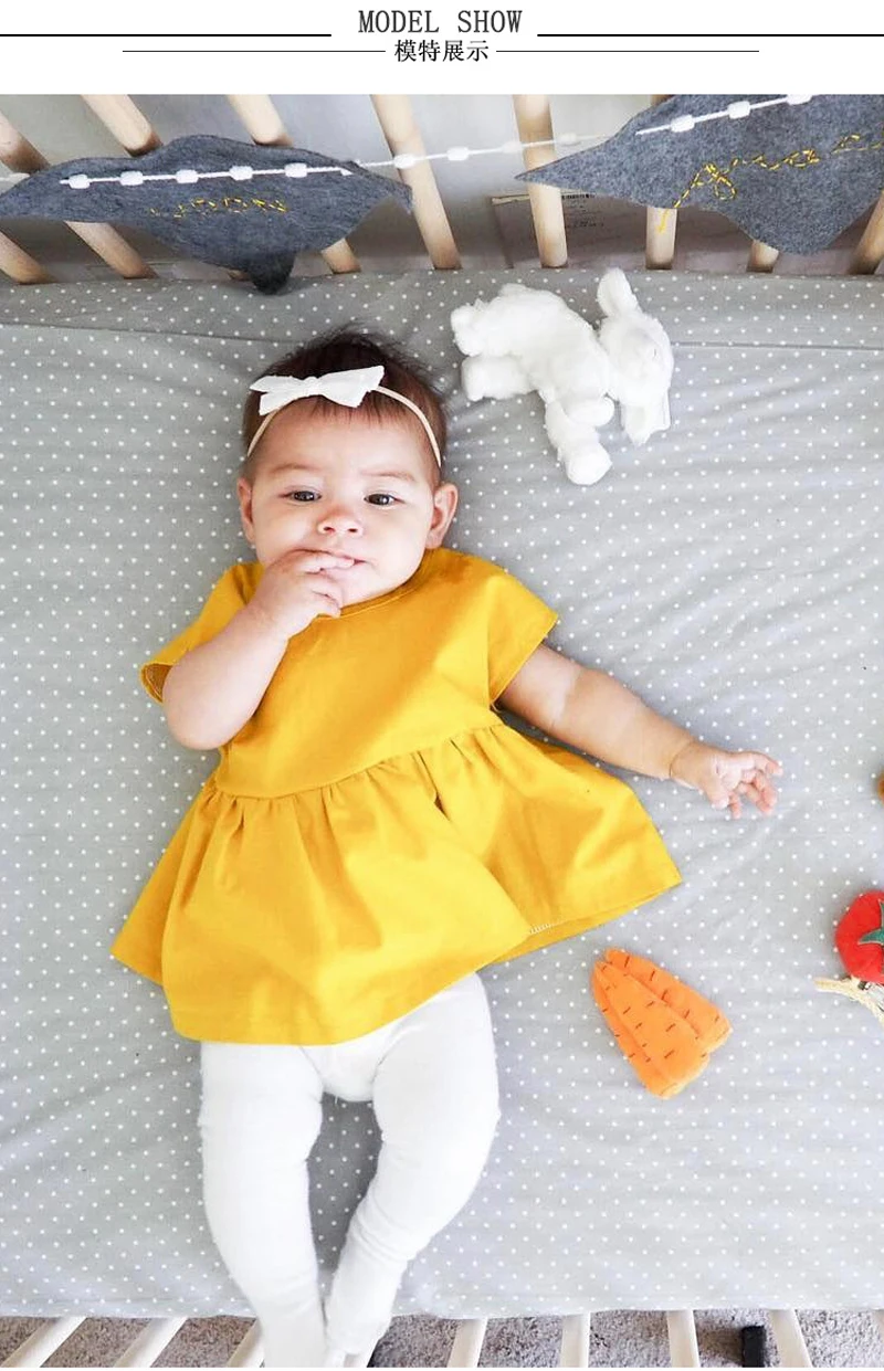 3806655768_528200829