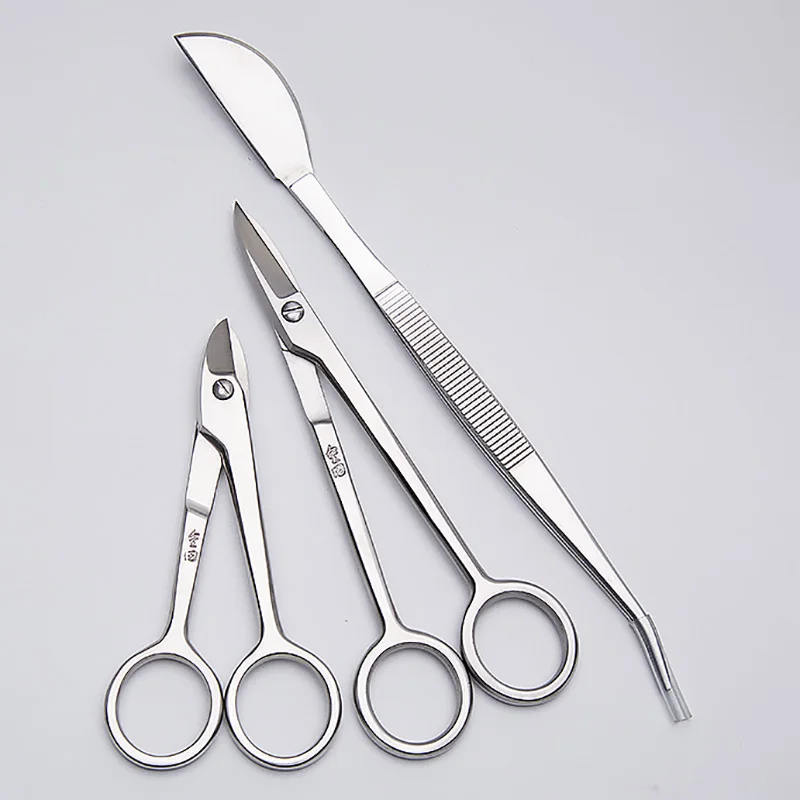 Набор Инструментов Для Бонсай Купить